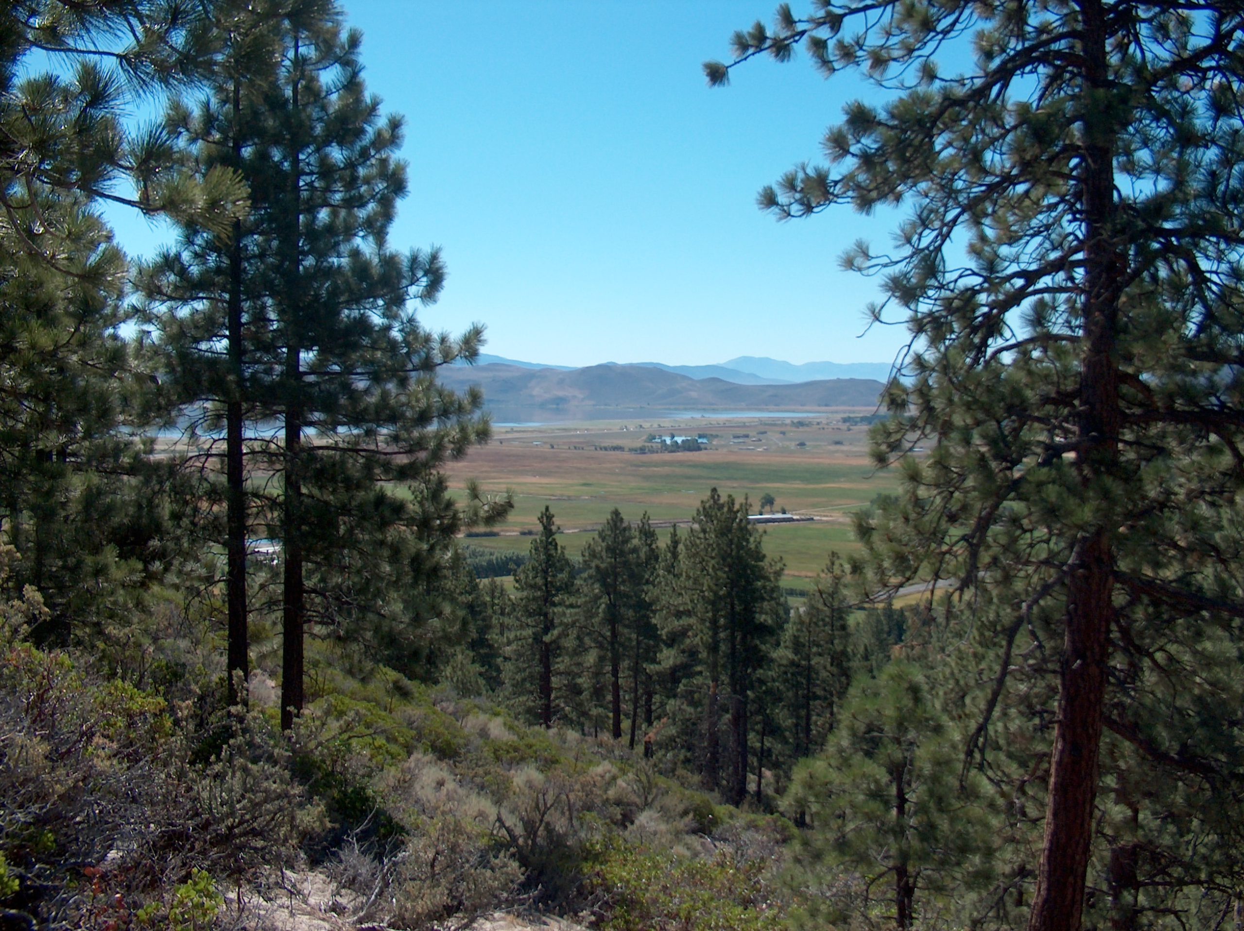 Nevada thumbnail
